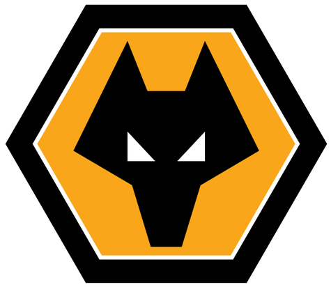 Câu lạc bộ bóng đá Wolverhampton Wanderers