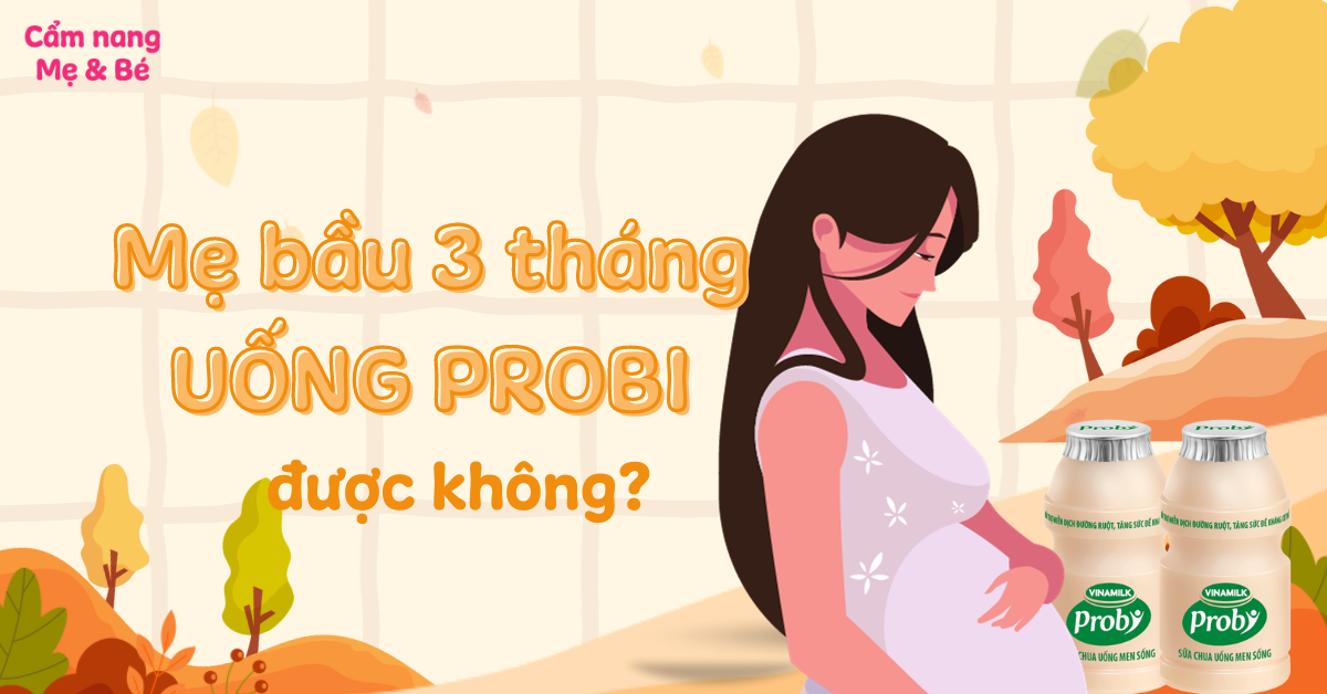 Có nên dùng Probi trong 3 tháng đầu thai kỳ? Cách sử dụng tốt cho sức khỏe?