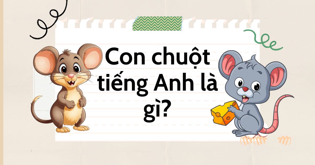 Con chuột tiếng Anh là gì? Phân biệt “mouse” với “Rat”