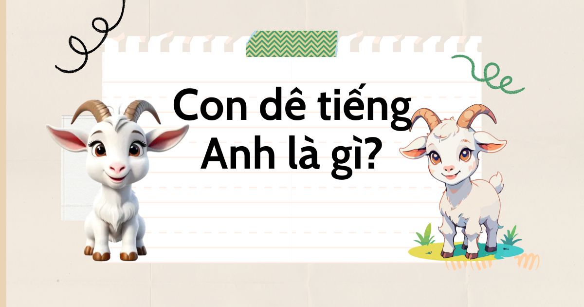 Con dê tiếng Anh là gì? Từ vựng về con dê trong tiếng Anh