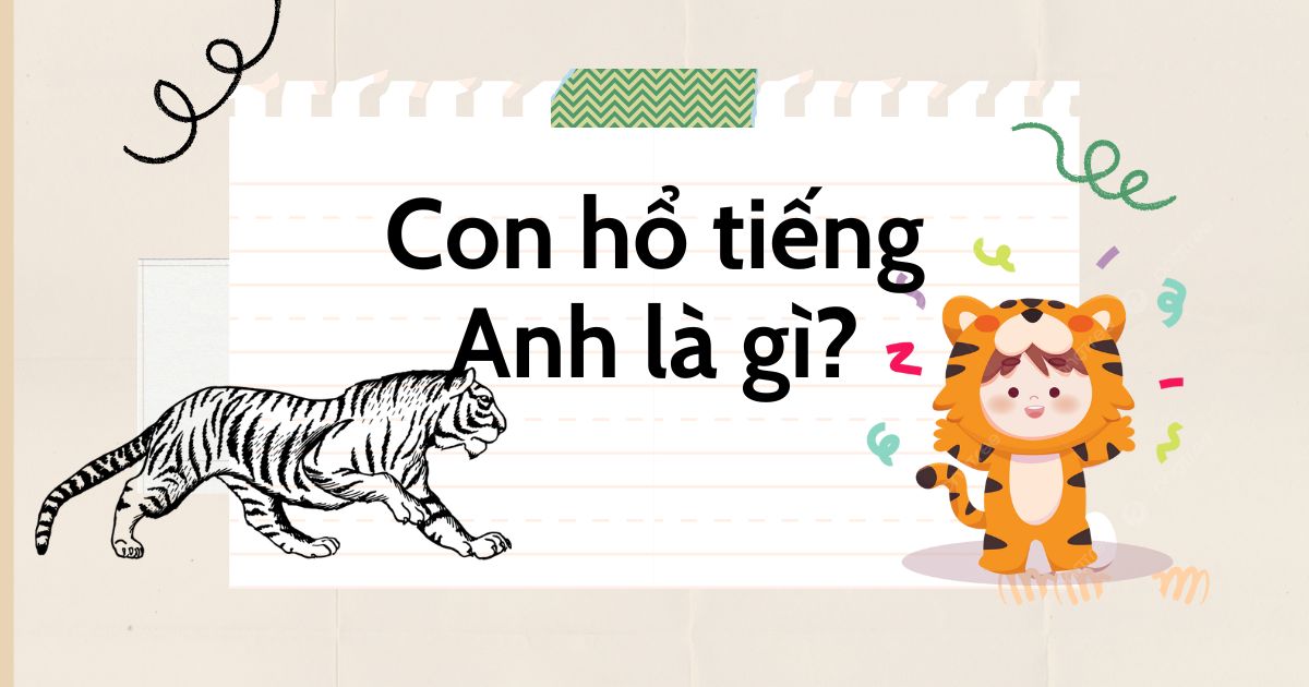 Con hổ tiếng Anh là gì? Cách đọc con hổ trong tiếng Anh