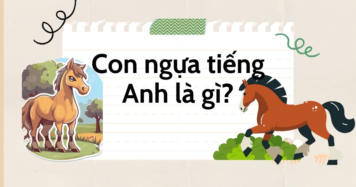 Con ngựa tiếng Anh là gì? Từ vựng con ngựa trong tiếng Anh