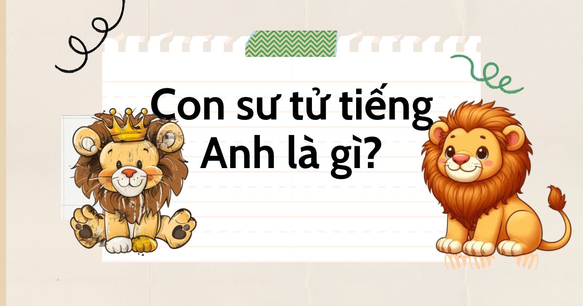 Con sư tử tiếng Anh là gì? Từ vựng về sư tử trong tiếng Anh