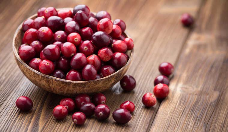 Cranberry, hay còn gọi là trái nam việt quất, là gì? Những công dụng của cranberry