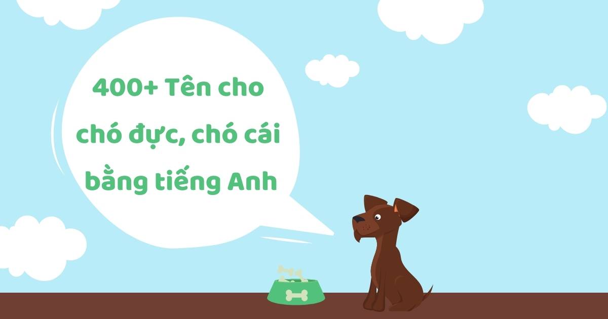 Đặt tên cho chó bằng tiếng Anh với 400+ tên cực kỳ dễ thương, ý nghĩa và ấn tượng