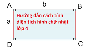 Diện tích hình chữ nhật lớp 4 Tổng hợp kiến thức và bài tập tính diện tích hay nhất