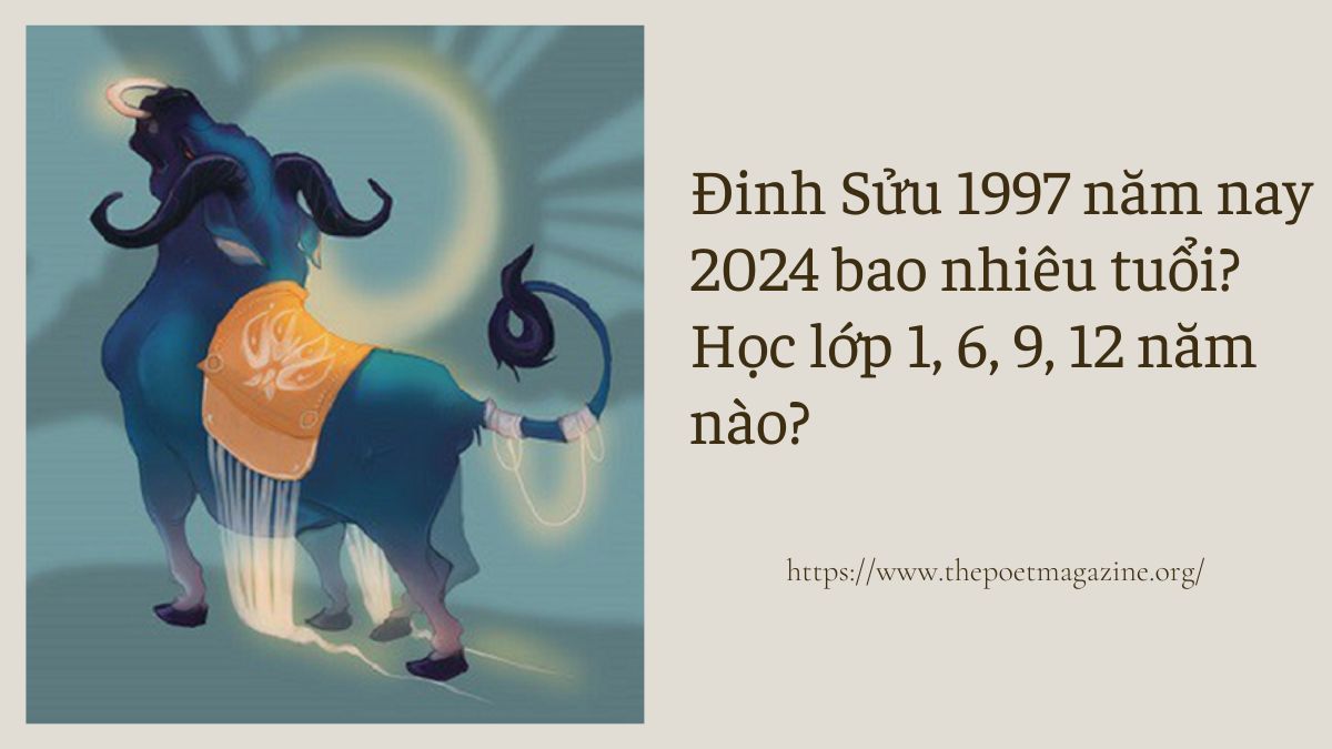 Đinh Sửu 1997 năm nay bao nhiêu tuổi? Tốt nghiệp chưa?