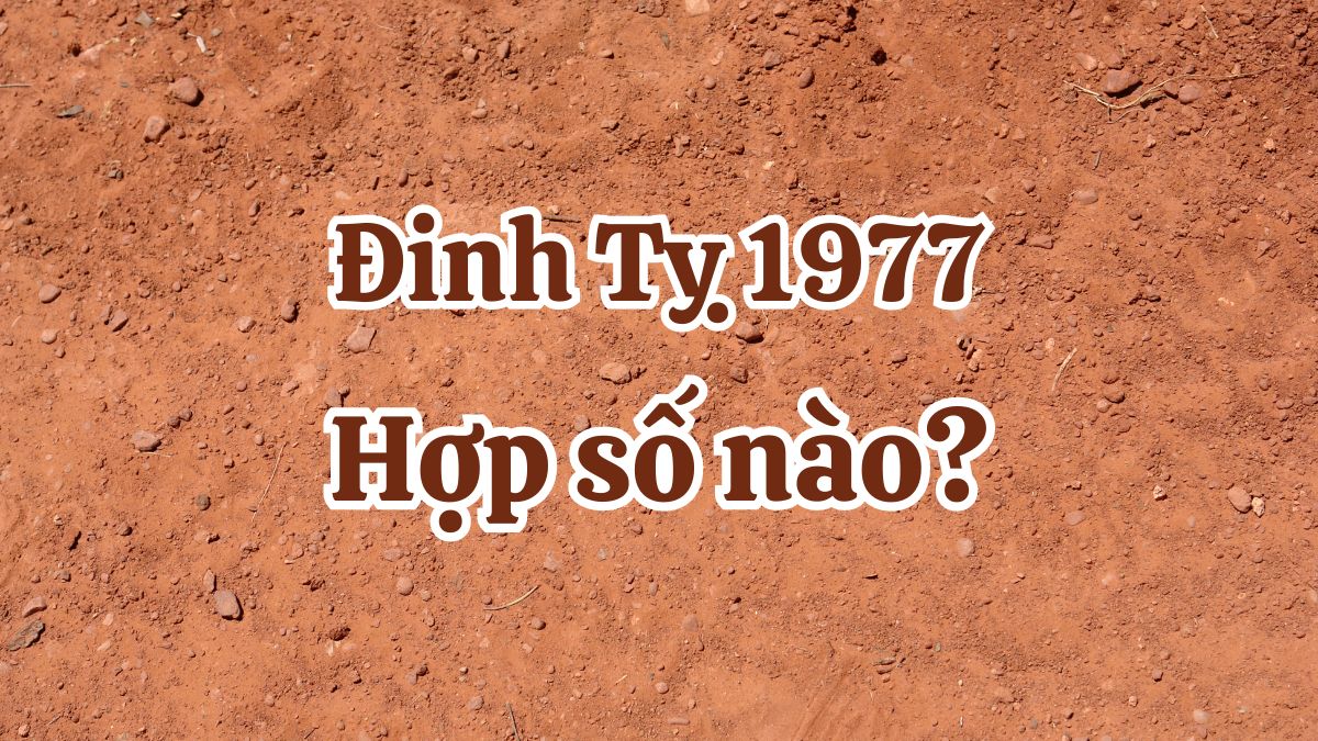 Đinh Tỵ 1977 hợp số nào? Nam, nữ hợp số chẵn hay lẻ?