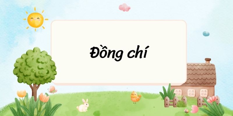 Đồng chí (Chính Hữu) – Tác giả, Tác phẩm – sách mới