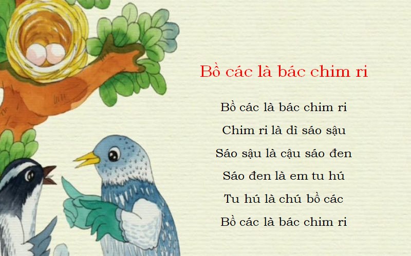 Đồng dao Bồ các là bác chim ri: Lời bài hát và giải thích mối quan hệ các loài chim