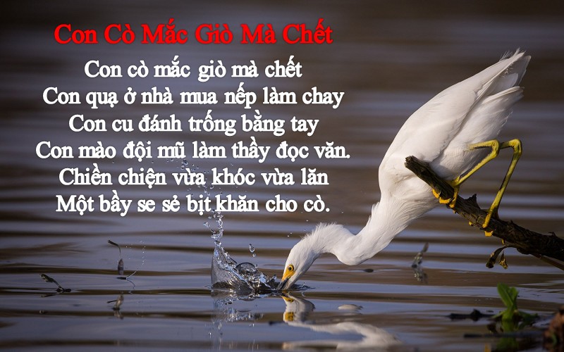 Đồng dao Con cò mắc giò mà chết – Nội dung và giải nghĩa chi tiết