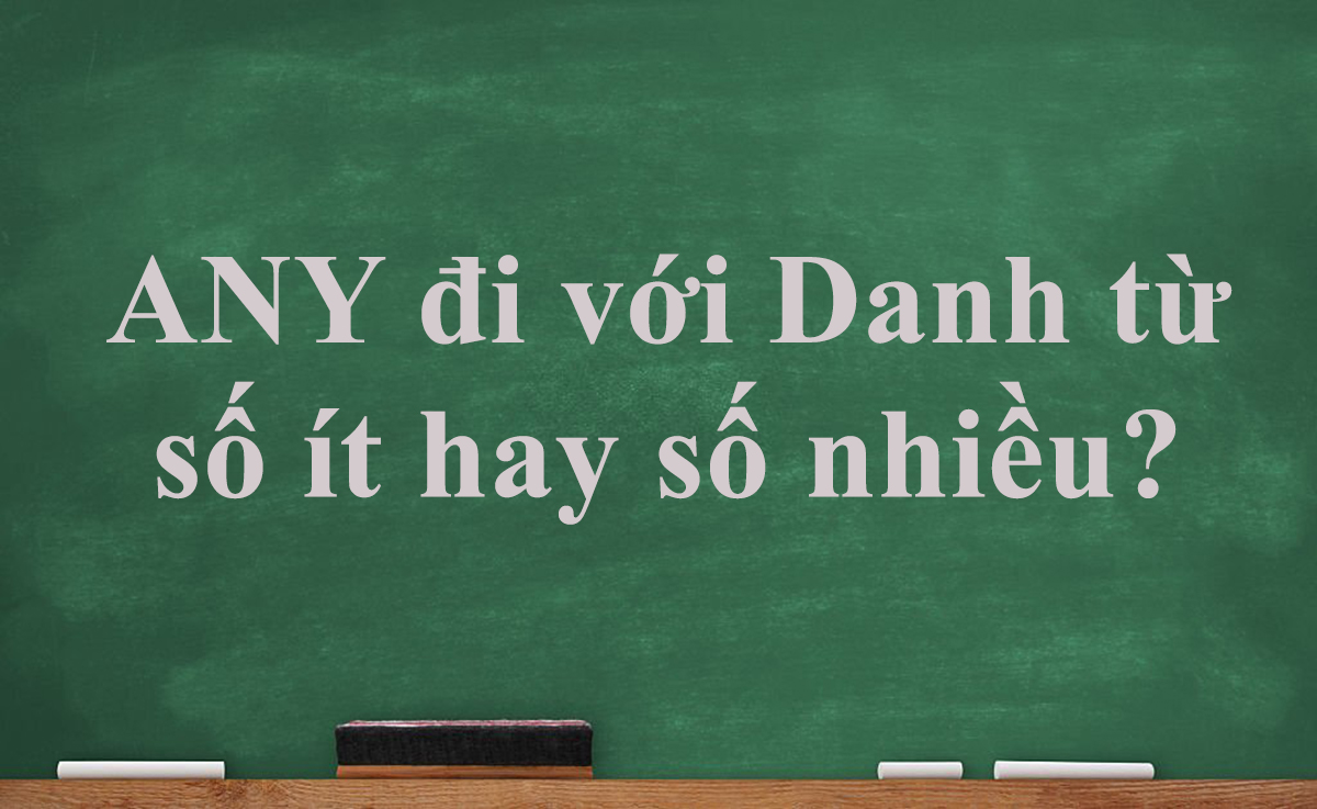 [GIẢI ĐÁP] Any đi với danh từ số ít hay số nhiều?