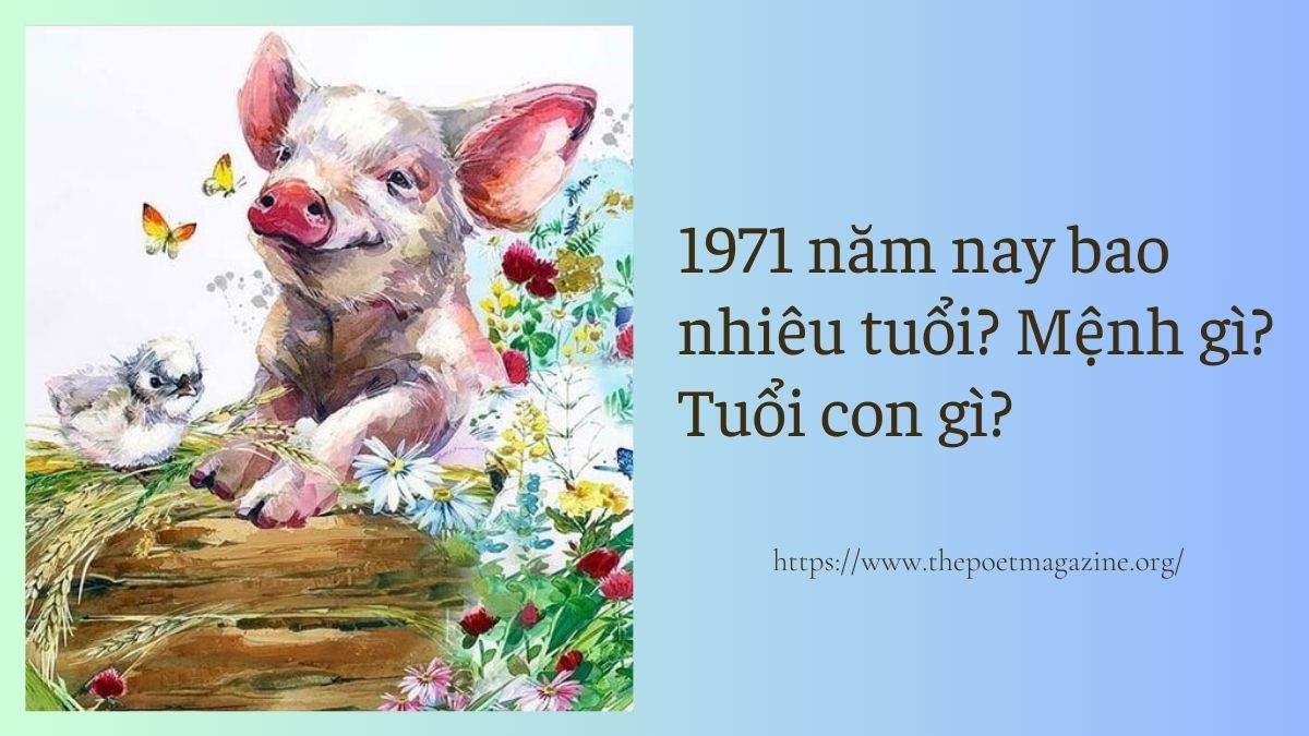 Giải đáp 1971 năm nay bao nhiêu tuổi theo âm lịch, dương lịch chính xác