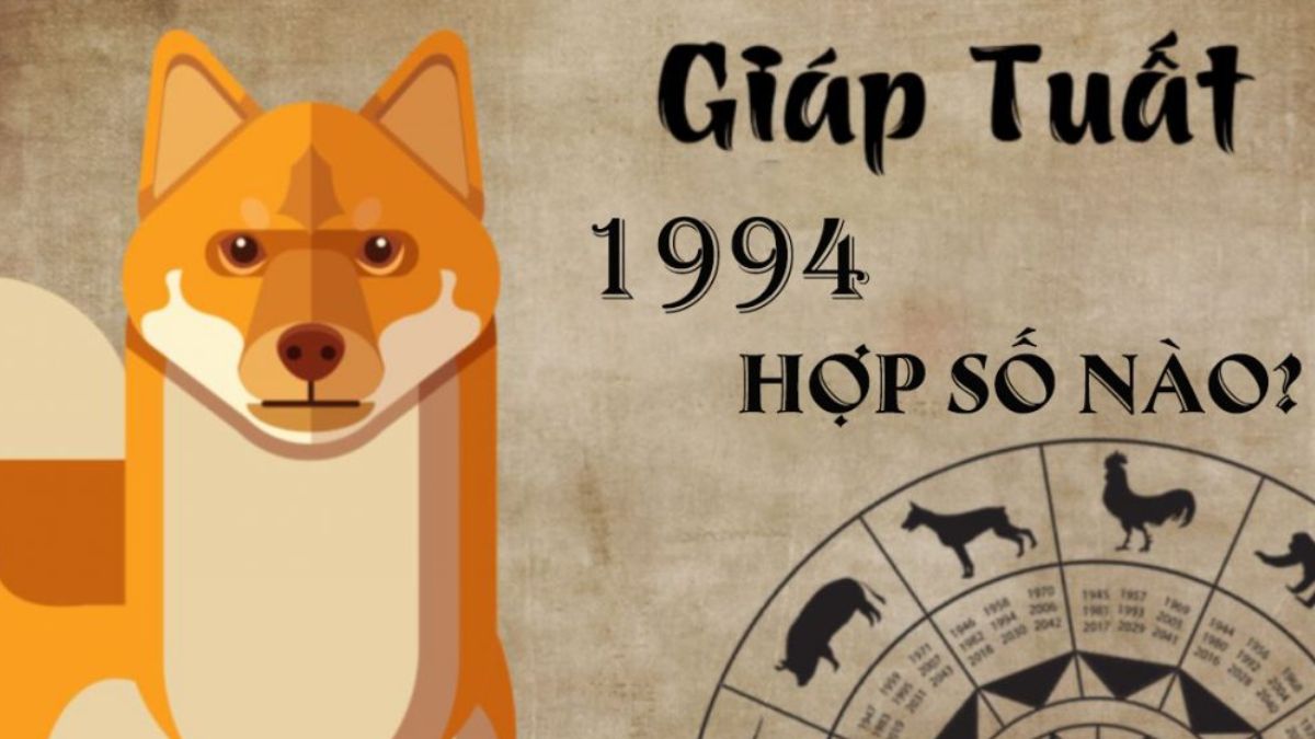 Giáp Tuất 1994 hợp số nào? Nam, nữ 1994 kỵ với số nào?