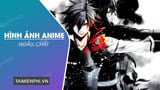 Hình ảnh Anime đẳng cấp, bí ẩn cho cả nam và nữ