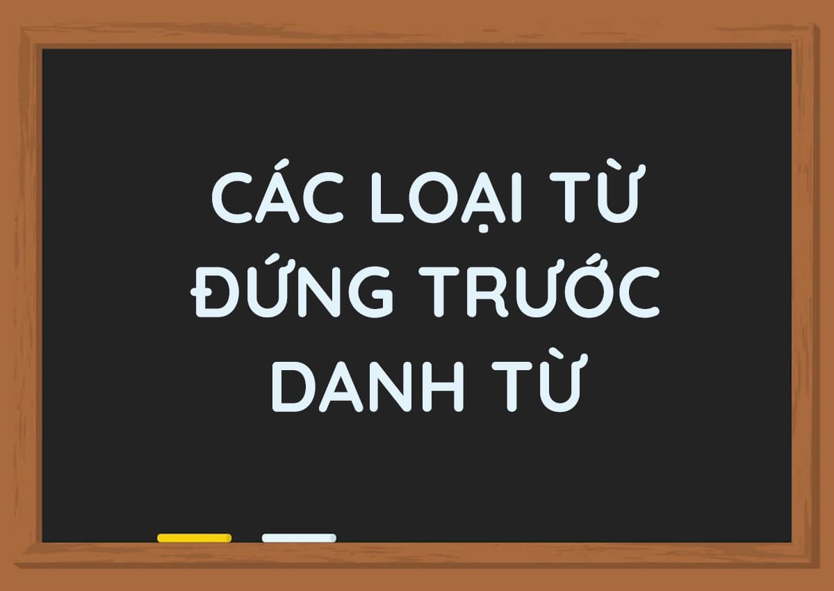 [Hỏi – Đáp] Các loại từ đứng trước danh từ là gì?