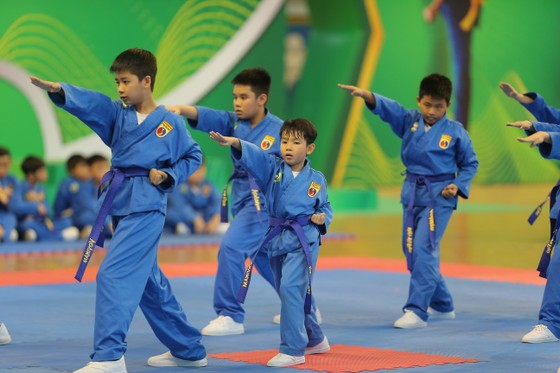 Hướng dẫn cách học võ Vovinam cơ bản tại nhà cho người mới bắt đầu