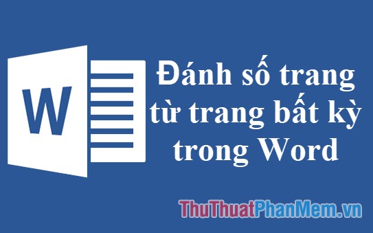 Hướng dẫn đánh số trang một cách nhanh chóng trong Word 2024