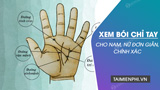 Khám phá bí mật xem bói chỉ tay và vân tay để hiểu rõ vận mệnh nam giới