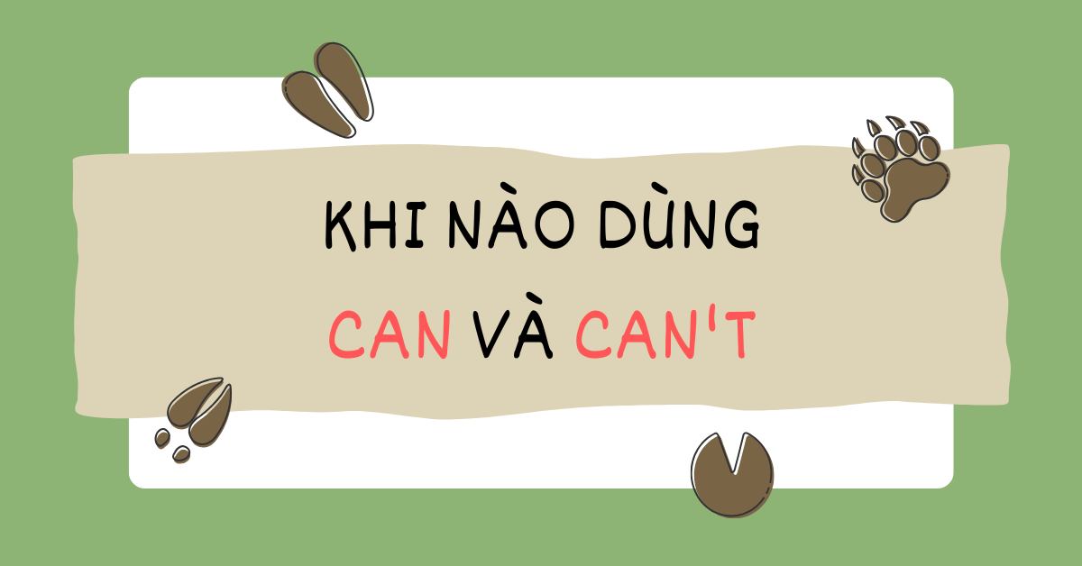 Khi nào dùng can và can’t? Cấu trúc, ví dụ và bài tập vận dụng!