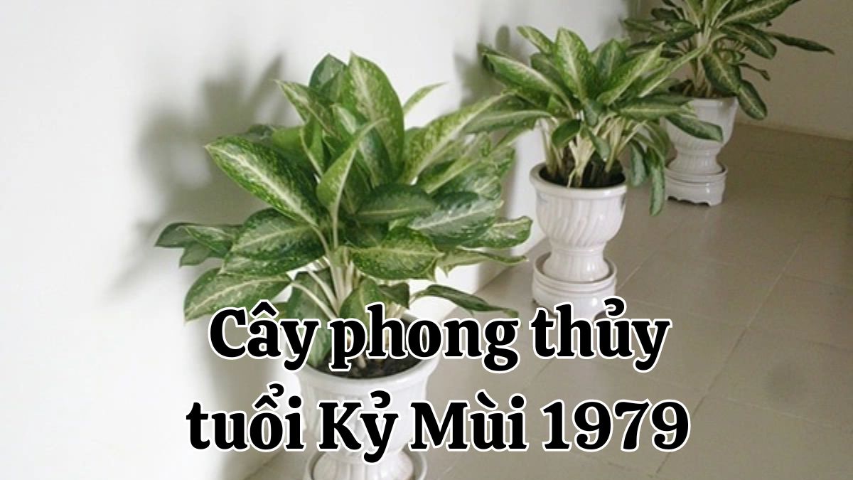 Kỷ Mùi 1979 hợp cây gì? Cây hợp phong thủy năm 1979