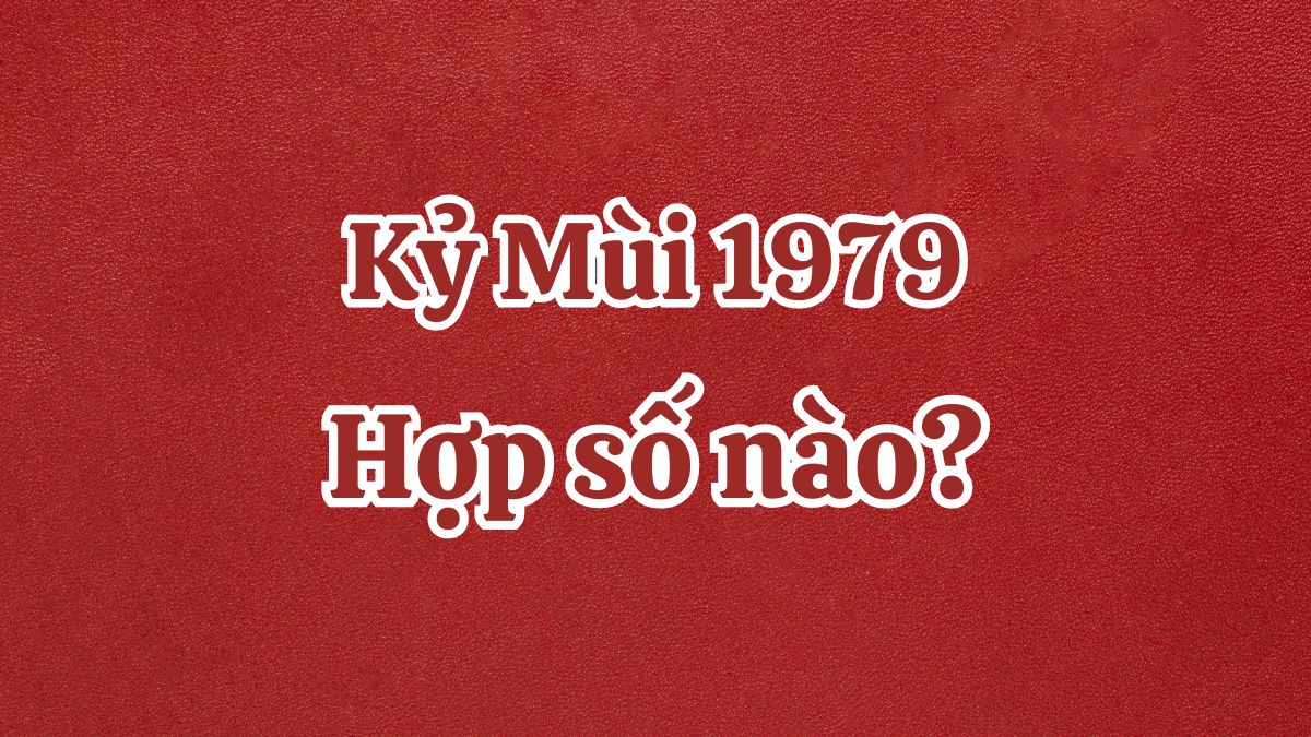 Kỷ Mùi 1979 hợp số nào? Số phong thủy tuổi Kỷ Mùi