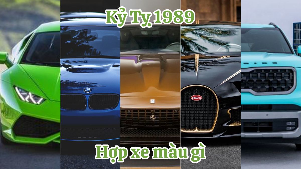 Kỷ Tỵ 1989 hợp xe màu gì? Màu sắc phong thủy dành cho người tuổi Kỷ Tỵ