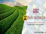 Liên hệ đặt xe taxi Thái Nguyên qua số điện thoại, dịch vụ tổng đài