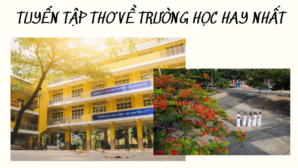 List bài thơ về trường học, mái trường cũ hay nhất đầy kỉ niệm đẹp