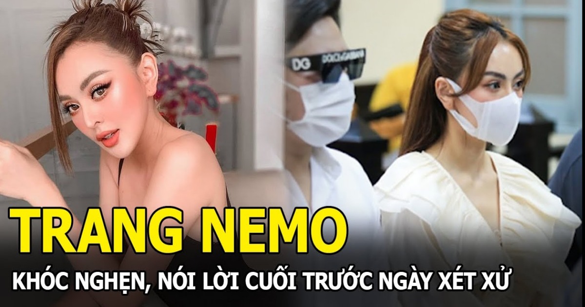 Lời nói sau cùng của Trang Nemo trước khi nhận 9 tháng tù