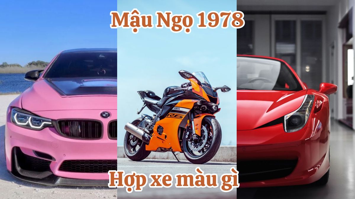 Mậu Ngọ 1978 hợp xe màu gì? Màu sắc tương khắc với 1978