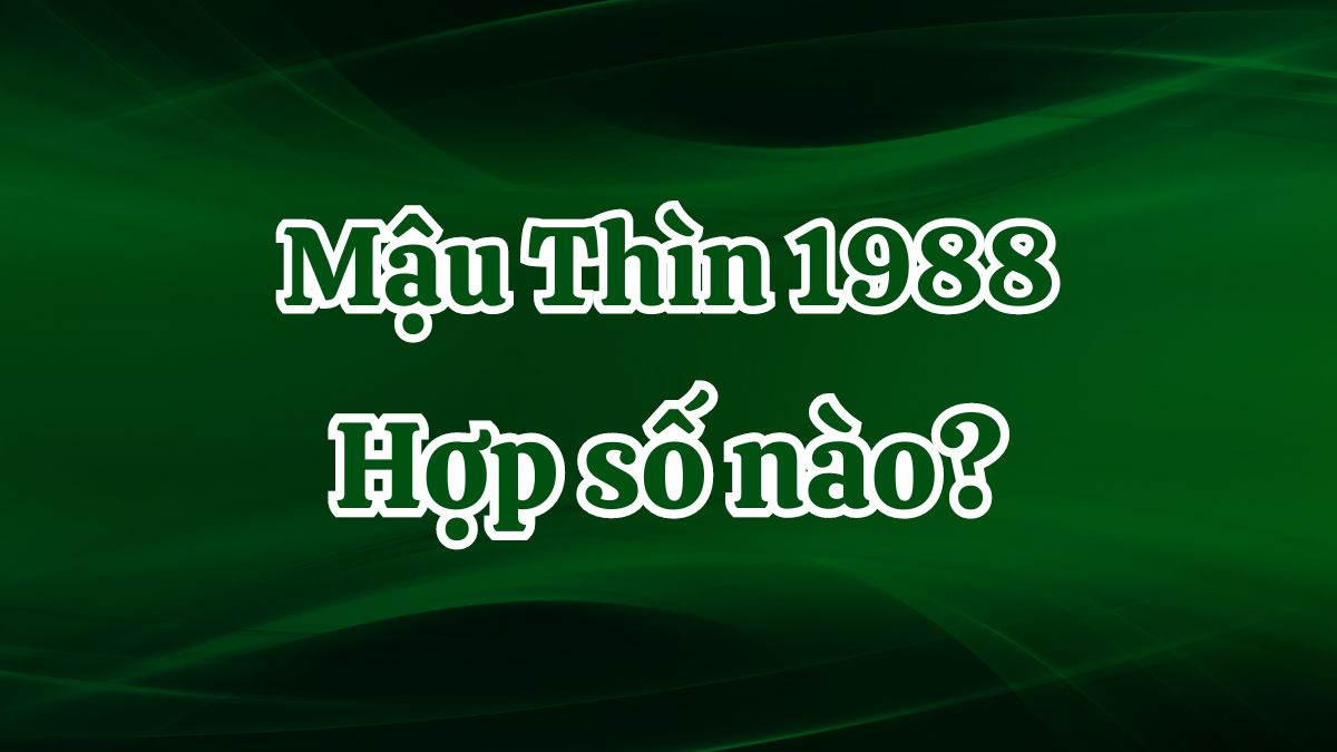 Mậu Thìn 1988 hợp số nào? Nam, nữ chọn số mấy may mắn?