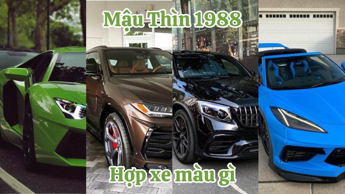 Mậu Thìn 1988 hợp xe màu gì? Màu xe phong thủy cho tuổi Mậu Thìn