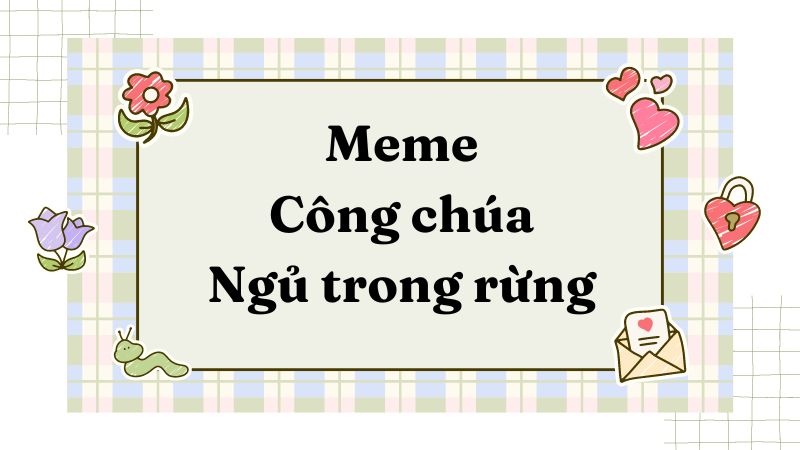 Meme công chúa ngủ trong rừng đa dạng nhất