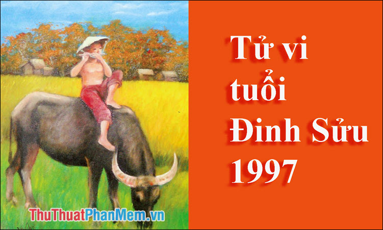 Năm 1997 – Bí mật mệnh số, tuổi con, hòa màu, phối hợp với tuổi và hướng nào?