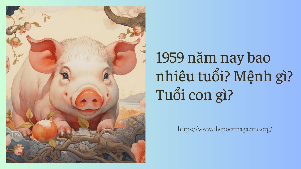 Người 1959 năm nay bao nhiêu tuổi, mệnh gì, tuổi con gì?