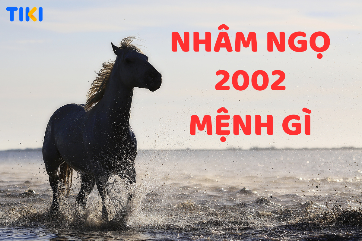 Nhâm Ngọ 2002 mệnh là gì? Hợp với màu nào, tuổi nào, và hướng nào là lựa chọn tốt?