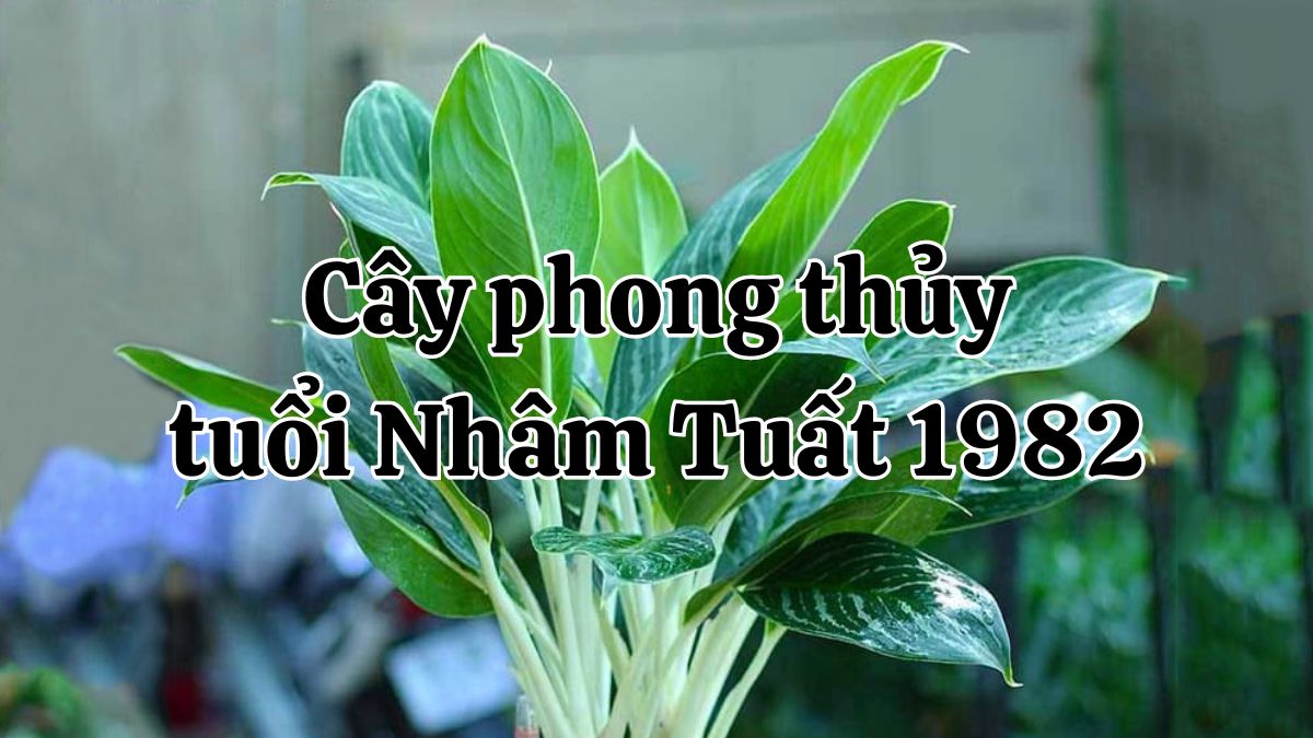 Nhâm Tuất 1982 hợp cây gì? Cây phong thủy hợp 1982