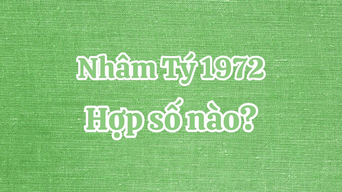 Nhâm Tý 1972 hợp số nào? Số may mắn tuổi Nhâm Tý