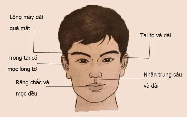 Nhân tướng học nam: Dự đoán người đàn ông tốt và xấu qua tướng mặt