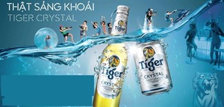 Những điều thú vị về bia Tiger Crystal