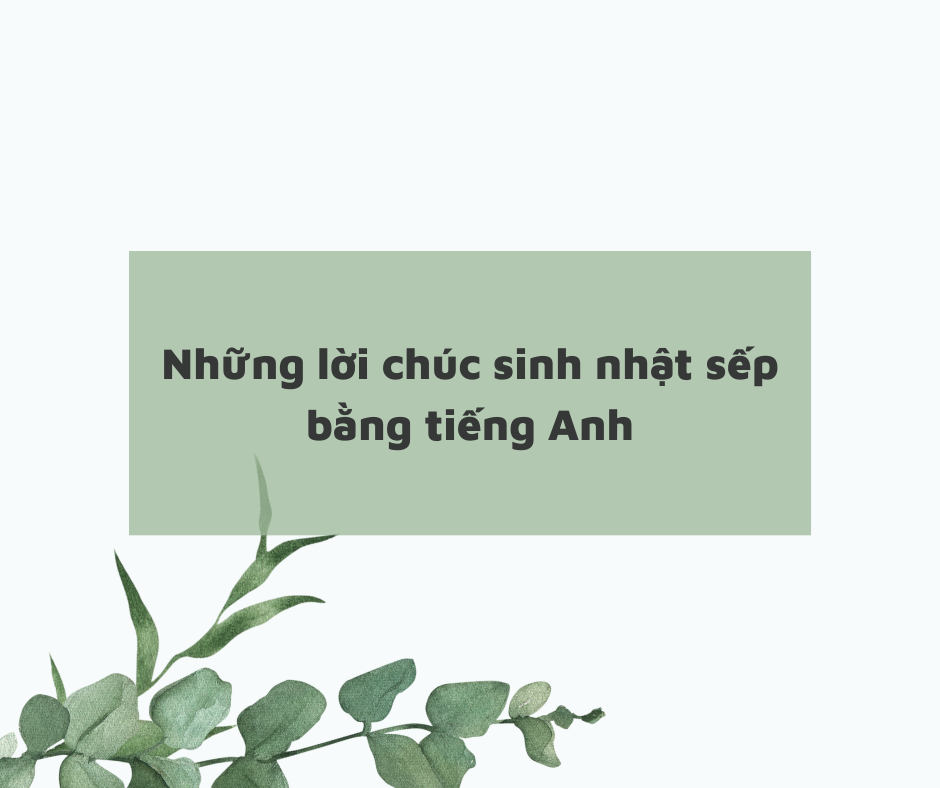 Những lời chúc sinh nhật sếp bằng tiếng Anh hay và ý nghĩa