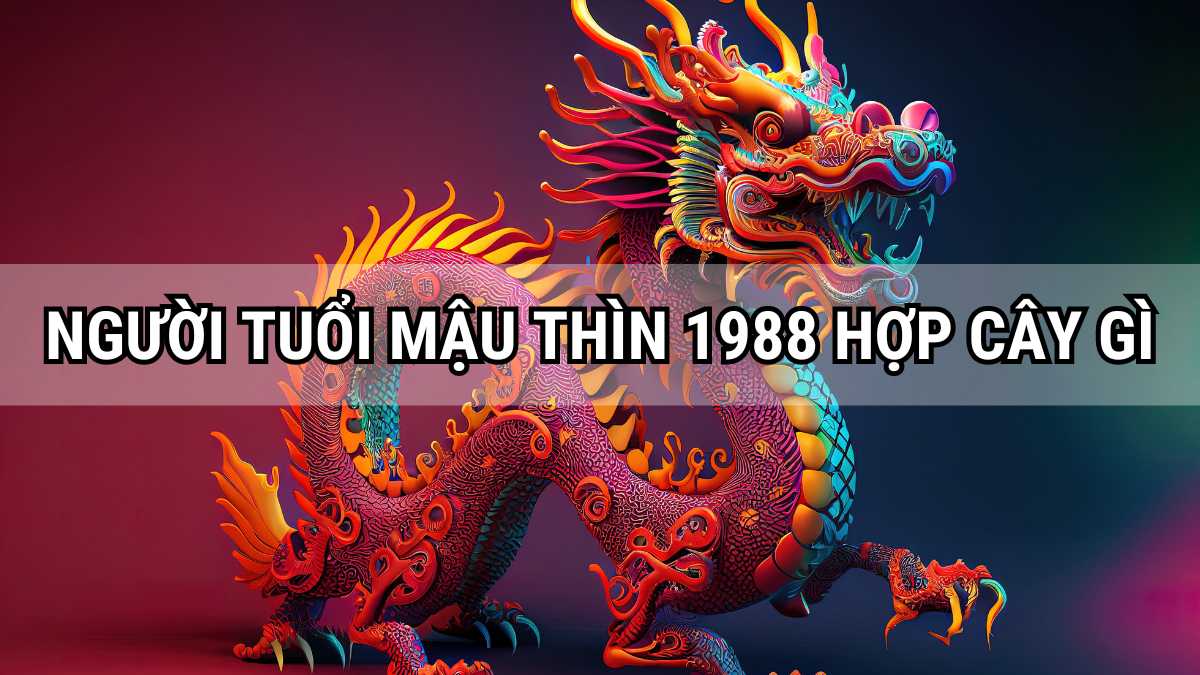 Phong thủy nam nữ sinh năm Mậu Thìn 1988 hợp cây gì?