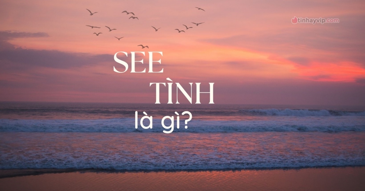 See tình là gì? Ý nghĩa đúng nhất của trend này