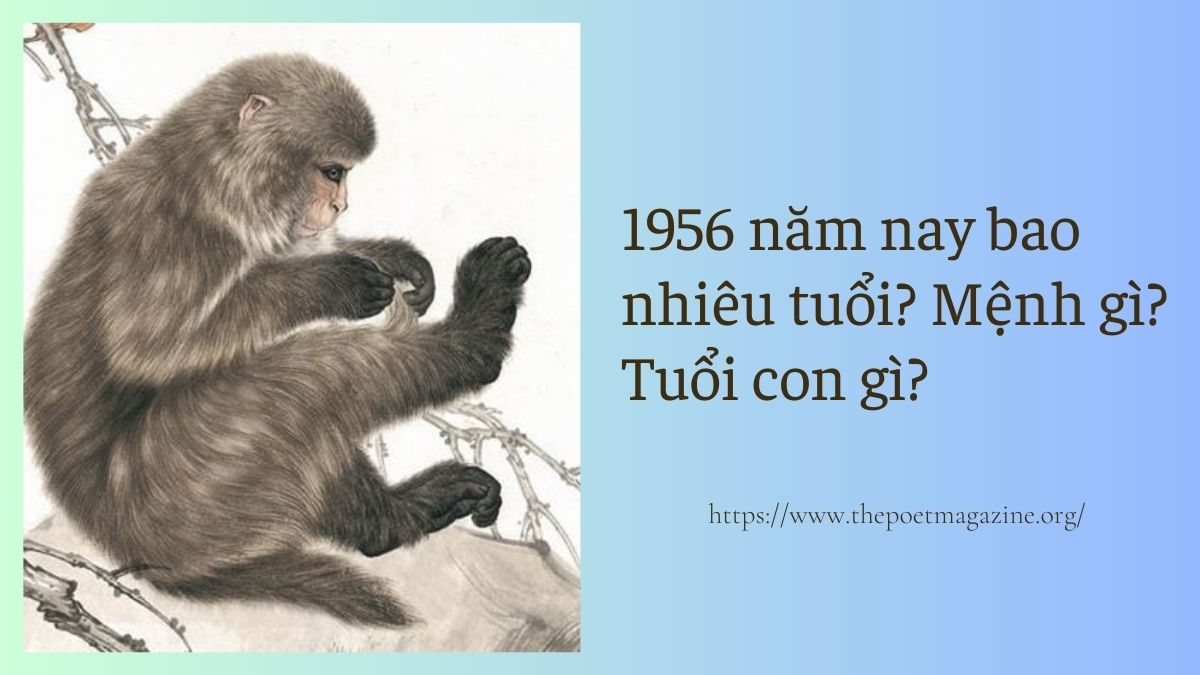 Sinh 1956 năm nay bao nhiêu tuổi? Mệnh gì? Tuổi con gì?