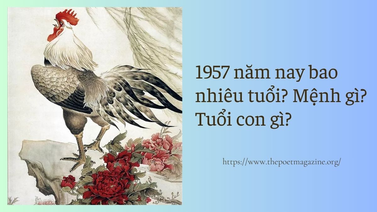 Sinh 1957 năm nay bao nhiêu tuổi? Mệnh gì? Tuổi con gì?