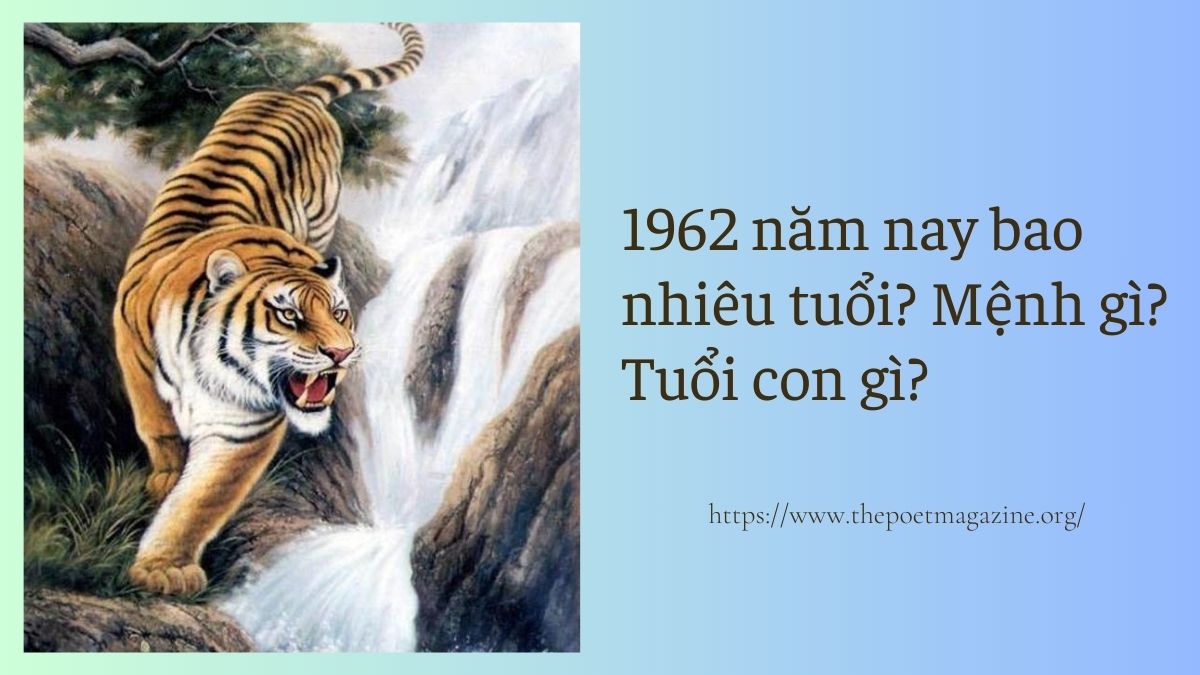 Sinh năm 1962 năm nay bao nhiêu tuổi? Mệnh gì? Tuổi gì?