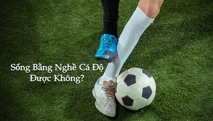 Sống bằng nghề cá độ giàu không? Kết cục phải biết