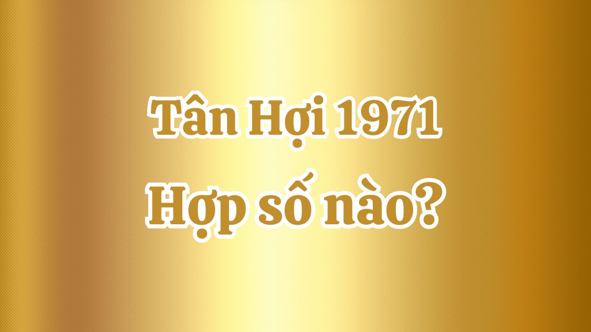 Tân Hợi 1971 hợp số nào? Số may mắn với tuổi 1971