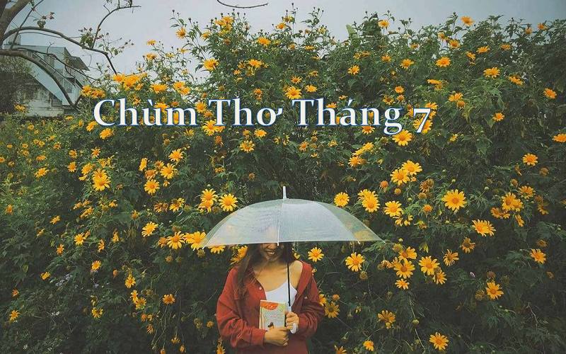 Tập thơ về tháng 7 hay nhất – Thơ chào tháng 7 lãng mạn, hài hước, buồn